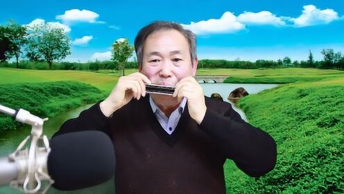 口琴独奏《我是一条小河》让你身临其境，让人静心的音乐