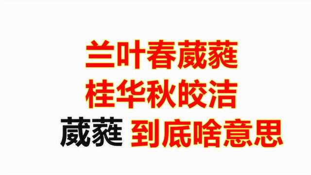 兰叶春葳蕤,桂华秋皎洁,葳蕤两个字到底怎么读?