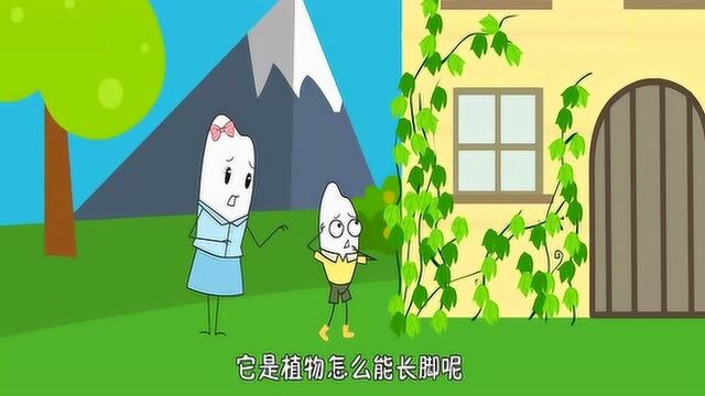 爬山虎没有脚为什么能爬上墙壁呢?