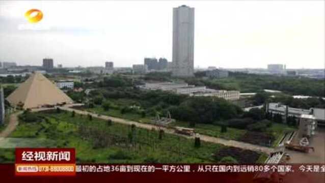 壮丽70年 奋斗新时代:远大集团之“芯”与城市共成长