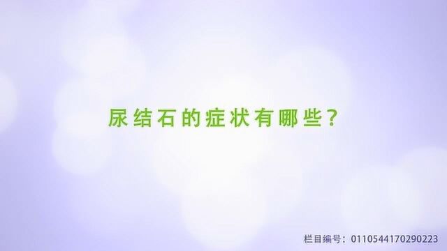 尿结石的症状有哪些?