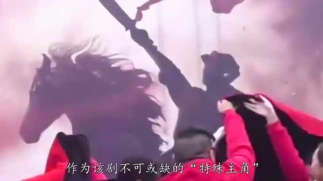 烈火战马:吴樾导演果然不错,看了预告就迫不及待想看正片了