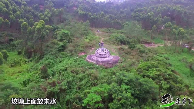 古海带你走乡下看国师江念泉所点钟氏广东廉江风水宝地飞凤落南阳