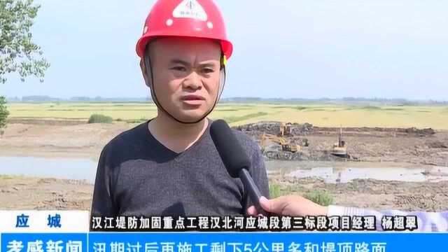 孝感应城:重点水利工程建设全面提速