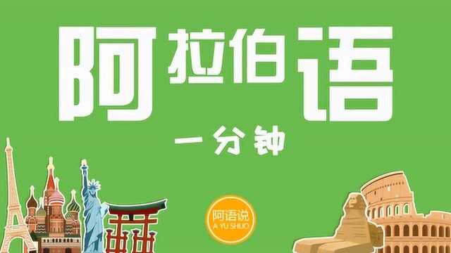 阿拉伯语学习速成  国家系列 21 埃及