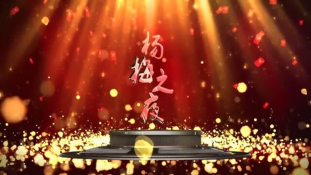 靖州:杨梅之夜2019