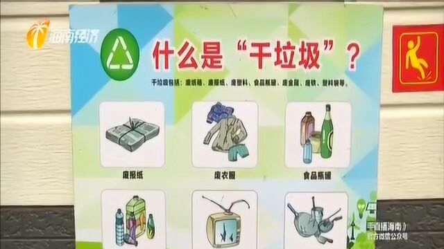 世界环境日:垃圾分类 从我做起