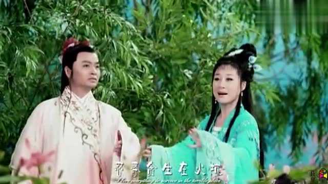 赵媛媛黄梅戏《卖油郎》精美选段,人美戏好嗓音甜,是女神啊!