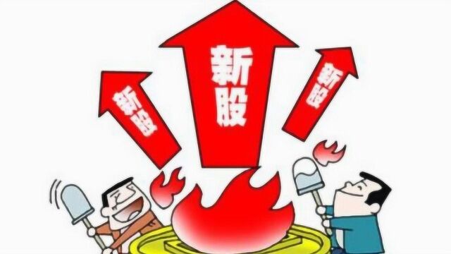 19只新股打新 最低3.5万市值顶格申购 更有100%中签