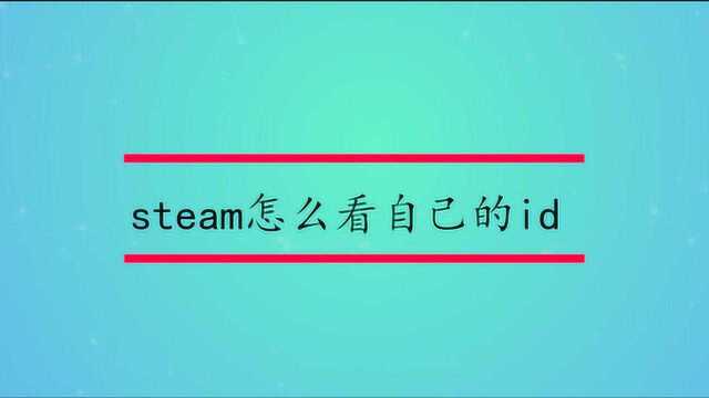 steam怎么看自己的id