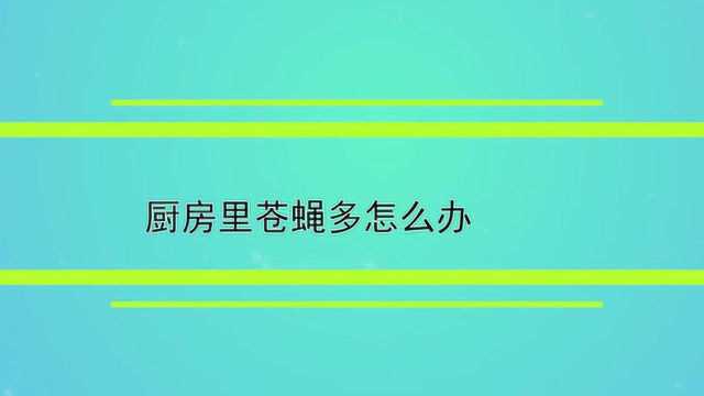 厨房里苍蝇多怎么办