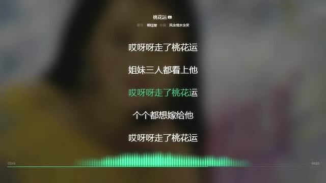 桃花运 杨钰莹 1992年度最火歌曲 动态歌词