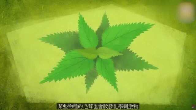 植物有哪些保护自己的方法