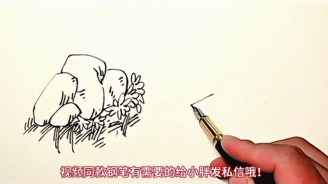 这一波钢笔画!我给满分!