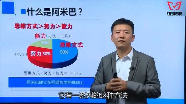 阿米巴的核心是稻盛哲学公式思维方式+努力+能力