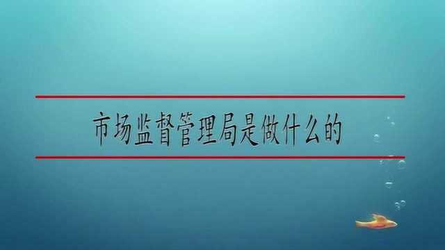 市场监督管理局是做什么的