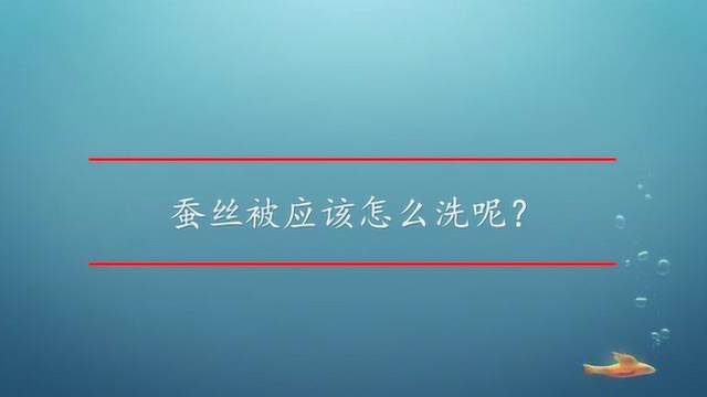 蚕丝被应该怎么洗呢?