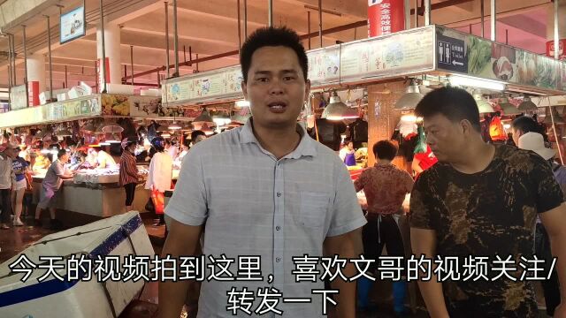 湛江的海鲜真便宜吗?去市场逛一圈那价格会让你重新认识湛江消费