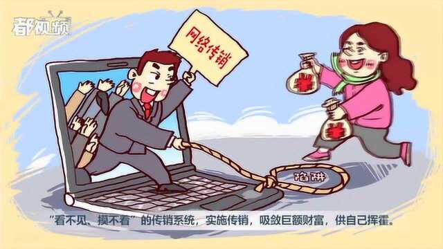 动画来了!擦亮双眼 捂紧钱包 远离网络传销