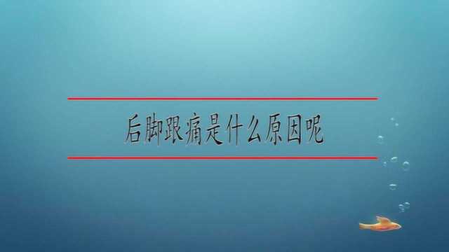 后脚跟痛是什么原因呢