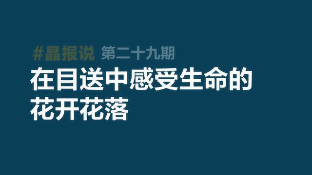 《晶报说》第二十九期 在目送中感受生命的花开花落