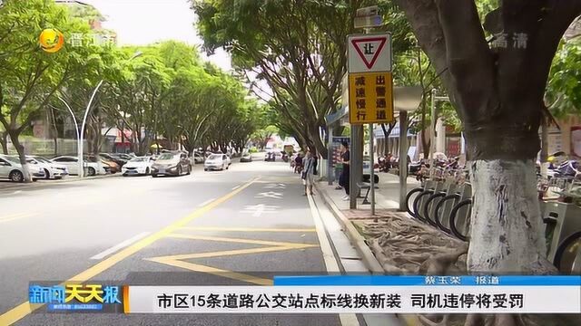 市区15条道路公交站点标线换新装 司机违停将受罚