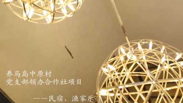 牟平区养马岛党支部领办合作社欢迎你