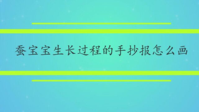 蚕宝宝生长过程的手抄报怎么画