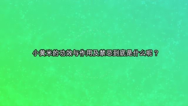 小黄米的功效与作用及禁忌到底是什么呢?