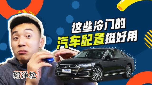 能否流行?这些冷门汽车配置挺好用