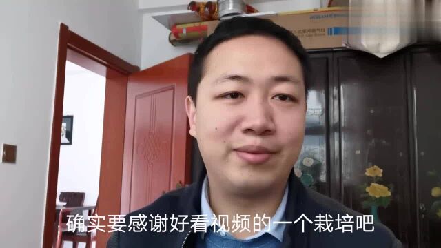 什么是百家号自媒体?怎么入行?新人需要注意什么