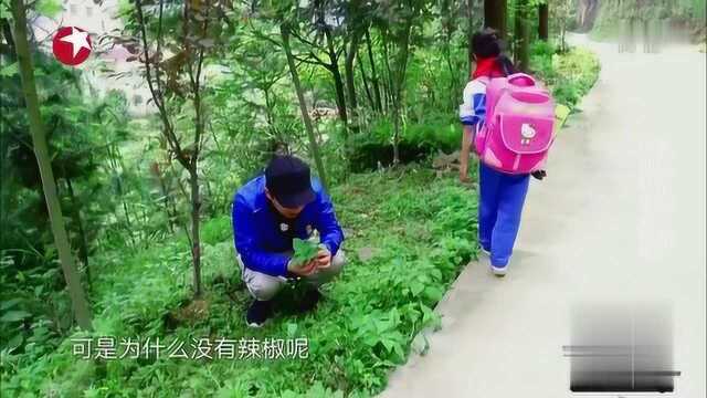 黄渤跟着小学生采野菜,”野辣椒“没有辣椒,长见识了