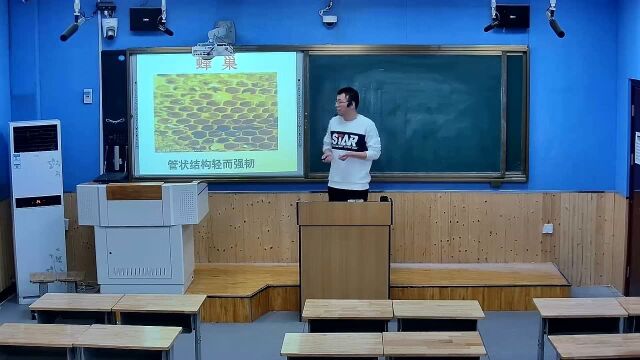 3.26六年级科学巧妙的结构