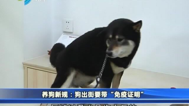 养狗新规:狗出街要带“免疫证明”