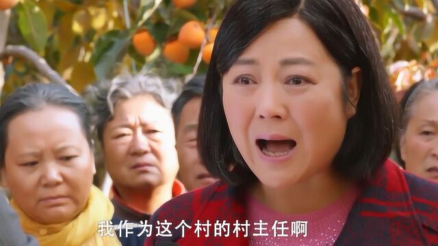 柿红村里柿子卖不出去,连电视台都出动宣传,帮着一起想办法!