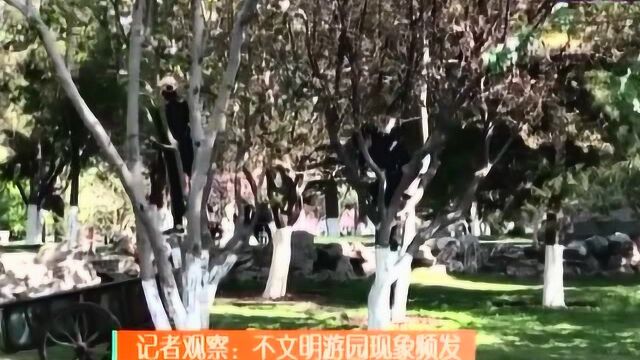 文明游园 从我做起:记者观察,不文明游园现象频发