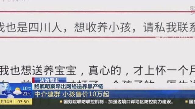 鲍毓明案牵出网络送养黑产链:中介建群,小孩售价至少10万起