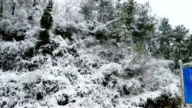 封城期间农村罕见大雪,百年不遇的唯美雪景