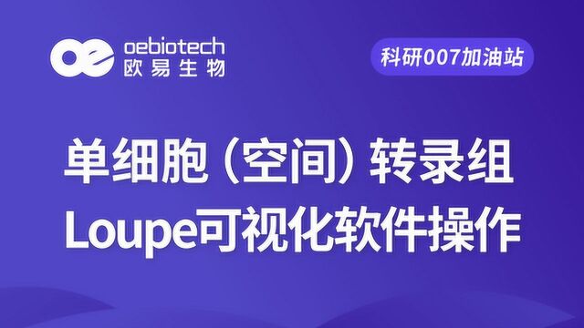 【单细胞系列3】单细胞(空间)转录组Loupe可视化软件操作欧易生物