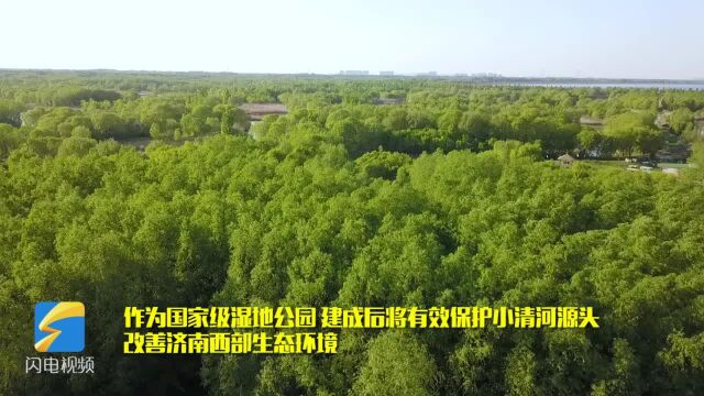 飞吧山东|泉城版“千岛湖”!瞰济西国家湿地公园春意盎然