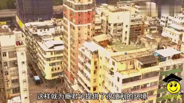 在香港住“笼屋”的人,他们都是什么身份?看完心酸不已