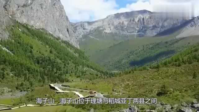 被誉为香格里拉仙境最为浪漫旅游地,野花,高雪山,人生必去