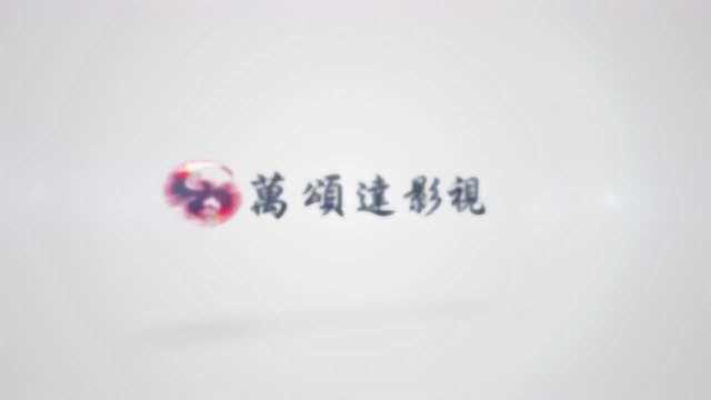 AE模板  清新不凡超简约LOGO演绎