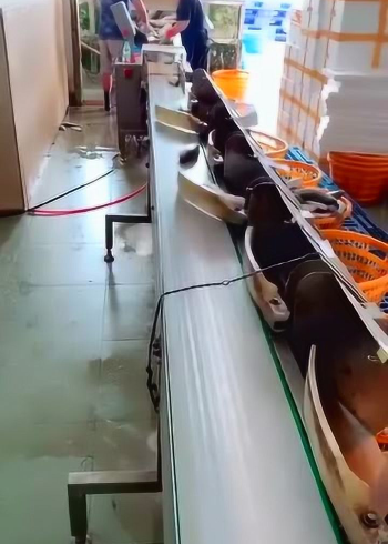 分工明确的流水线，再快都没有漏网之鱼，这机器太精准！