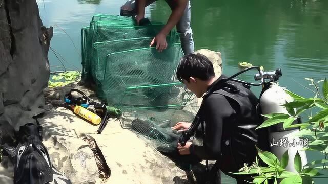 被卡在深潭下的地笼4天未收,小明潜下帮忙打捞,出水一刻乐坏了