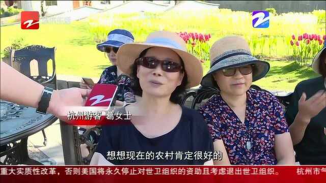 休闲+养生 磐安打造“长三角知名康养旅居目的地”