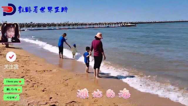 潍坊的海,是真的海,很多人叫北海,沙滩也是沙滩,欢乐海沙滩景区