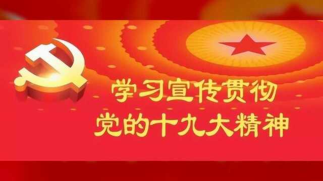 【聚焦两会】全国人大代表石蓉:巧用数据融合 打造战“疫”利器