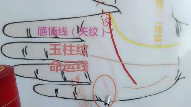 手相:结婚线的解释