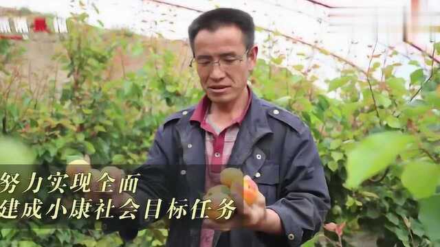 政府工作报告中与你有关的民生红包